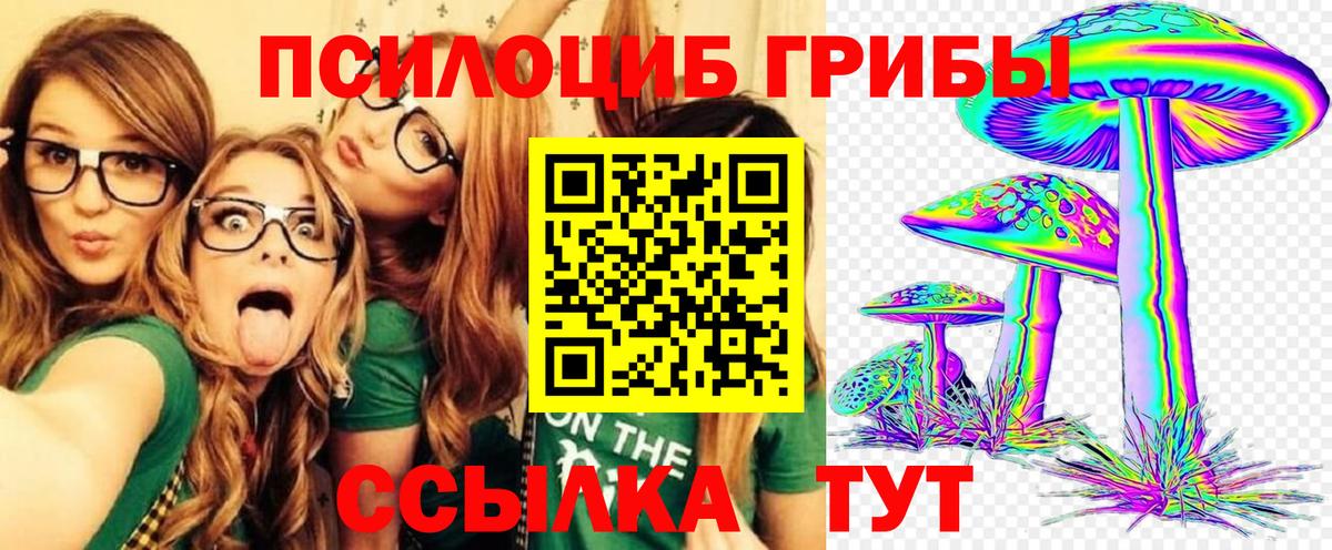 цена наркотик  Галлюциногенные грибы Magic Shrooms  Вход с VPN  Псилоцибиновые грибы GOLDEN TEACHER  Горно-Алтайск 