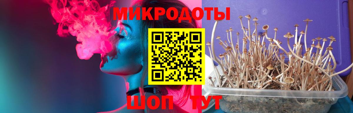 Псилоцибиновые грибы ЛСД Горно-Алтайск